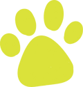 Scooby Collection- Decal 4