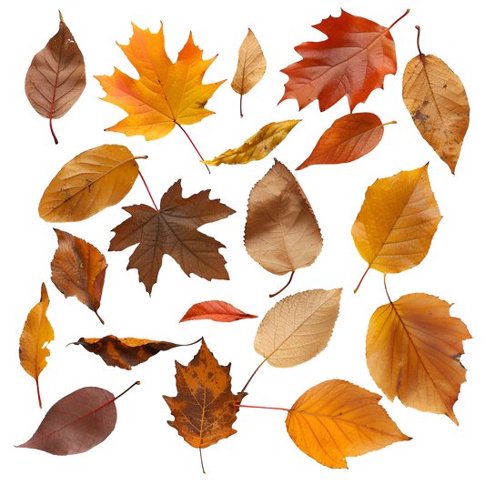 Element Sheet 2- Leaves