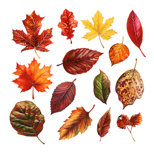 Element Sheet 3- Leaves