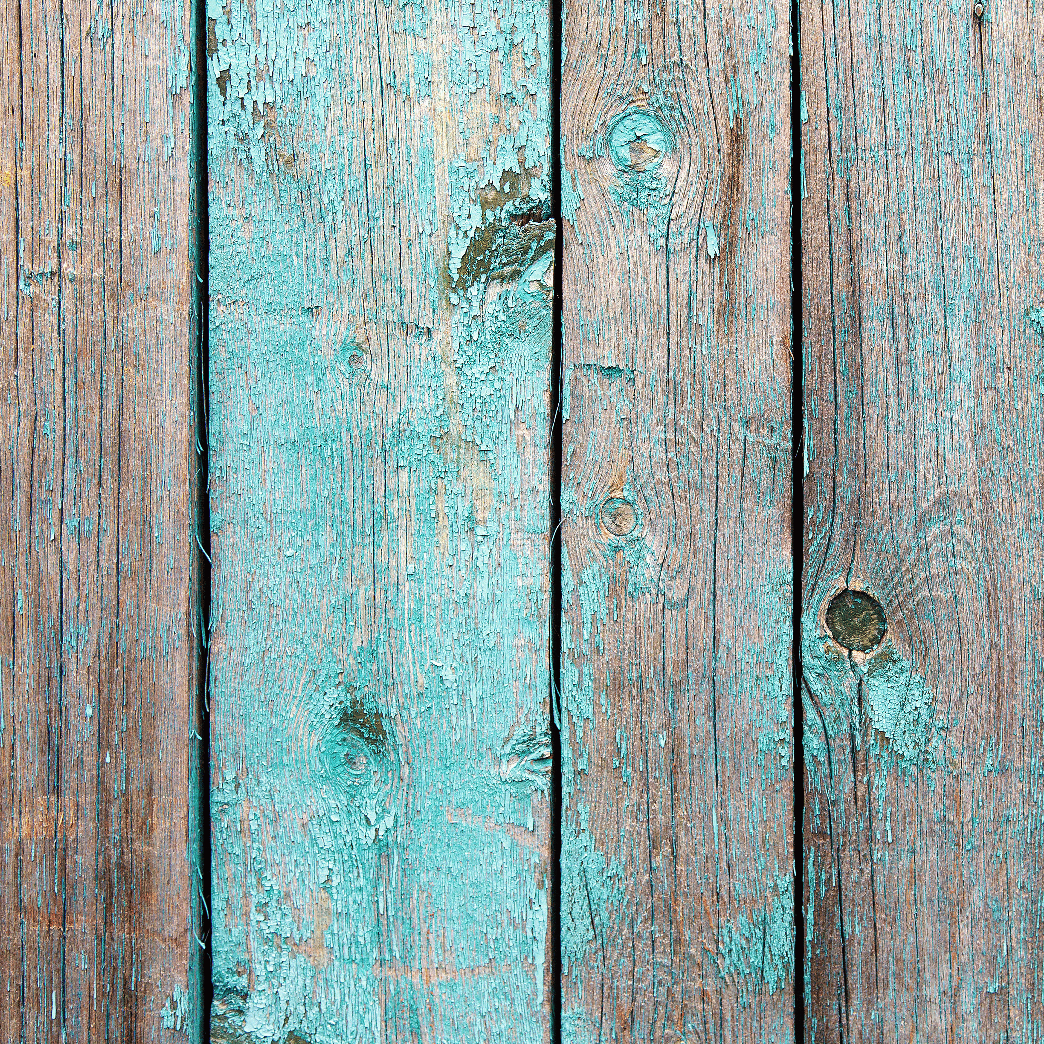 Em's Beach Collection Vinyl 16