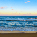 Em's Beach Collection Vinyl 3