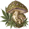 *High* Maintenance Collection- Decal 5