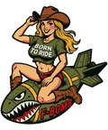 Pin up Girl 12