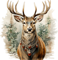 Collection F-Deer Decal F2