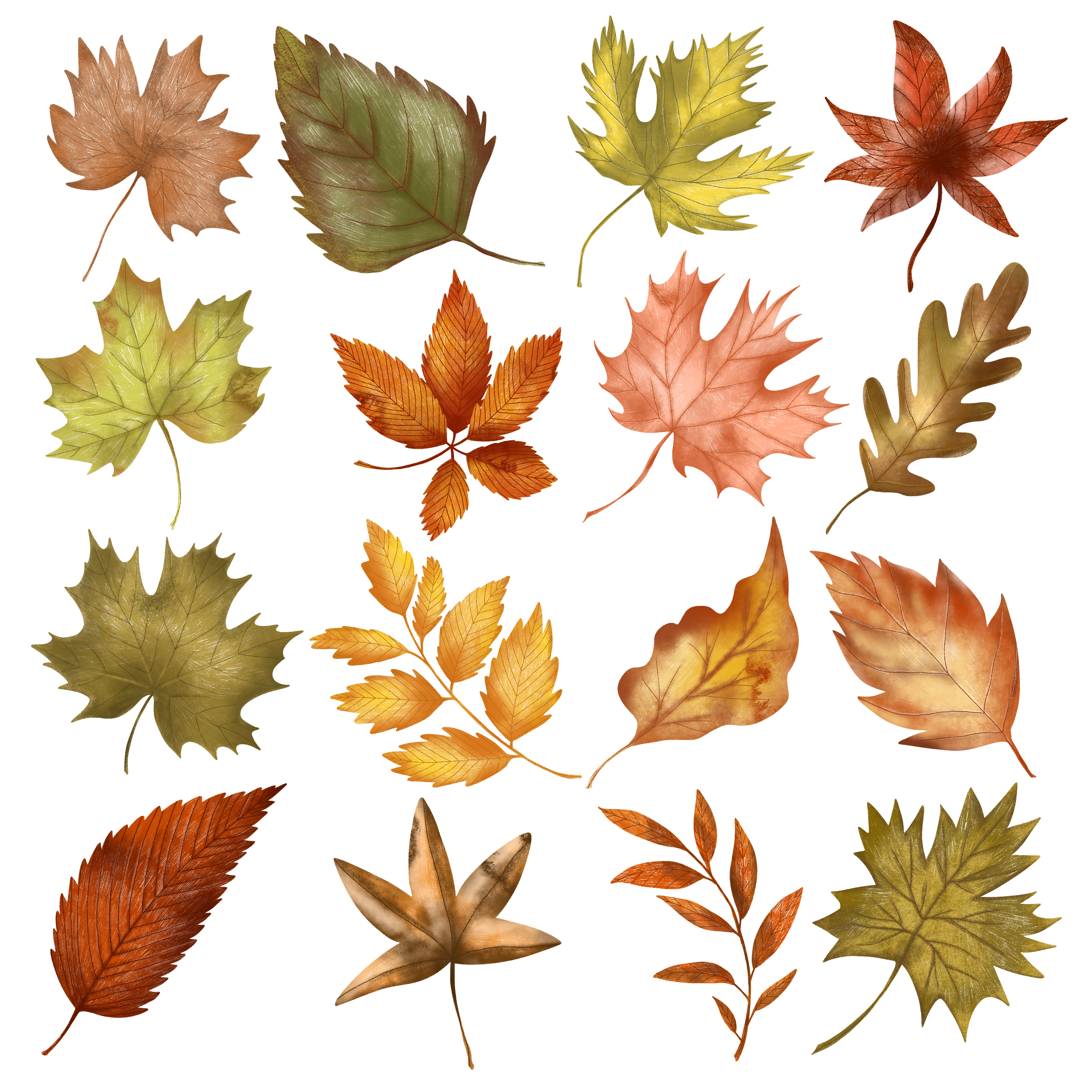 Fall Element Sheet 2