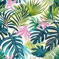 Monstera 14
