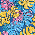 Monstera 17