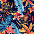 Tropical Vinyl 7