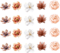 Western Lace Denim Collection- Element Sheet
