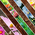 FLORAL MIXED MEDIA 8