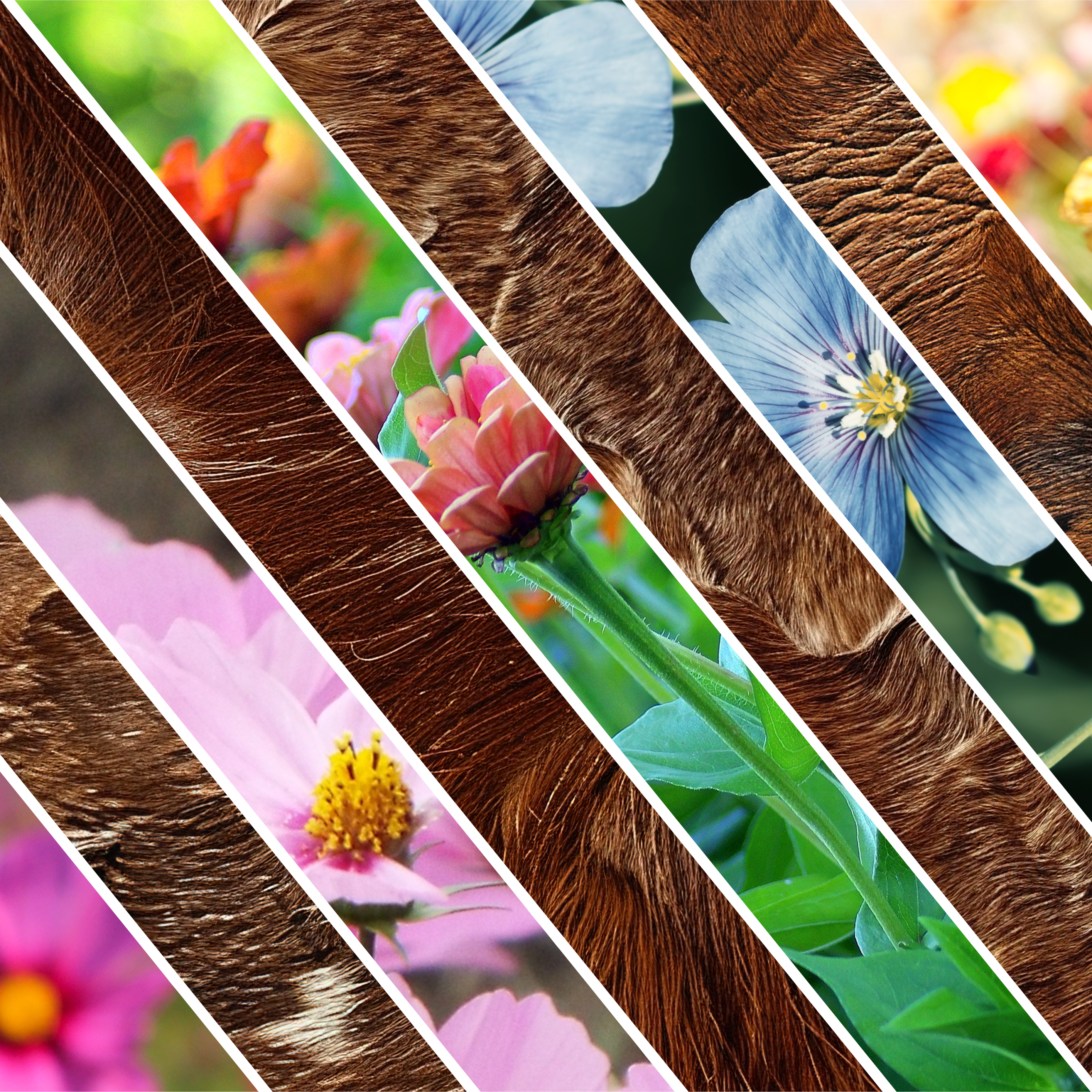 FLORAL MIXED MEDIA 8