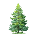 Great Outdoors Decal 4