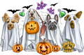 Ghost Dogs