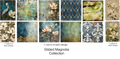 Gilded Magnolia Collection