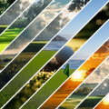 Golfer's Mixed Media 7