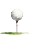 Golfer's Decal 21