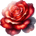 Gothic Red Rose Collection- Decal 6