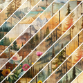Great Outdoors Mixed Media 5
