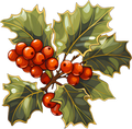 Green Gnome- Poinsettia 2