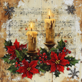 Christmas Vinyl 619