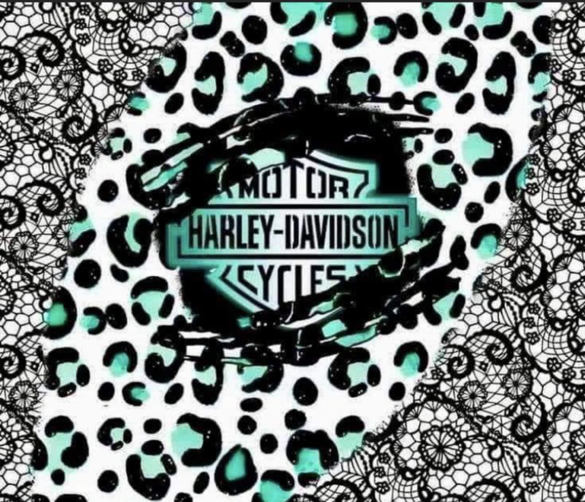 HARLEY VINYL 21