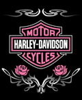 HARLEY VINYL 23