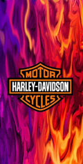 HARLEY VINYL 27