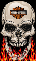 HARLEY VINYL 28