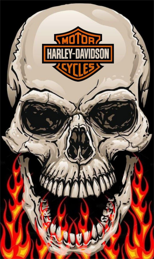 HARLEY VINYL 28