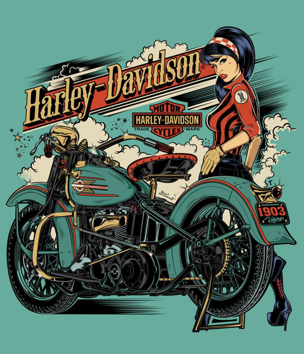 HARLEY VINYL 29