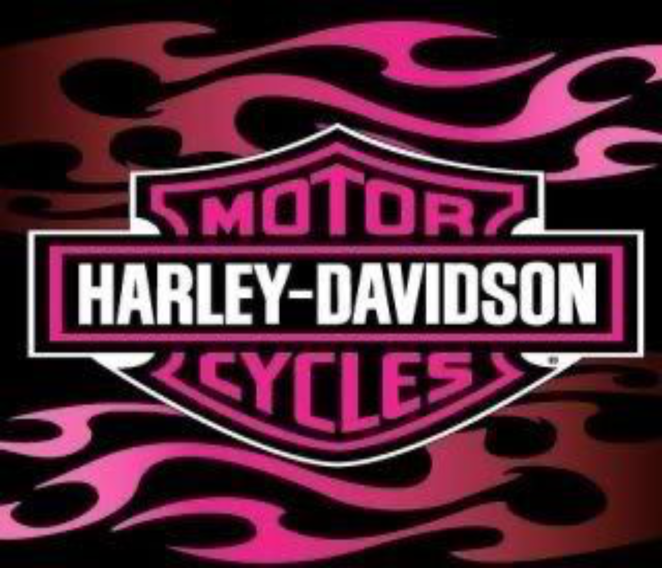 HARLEY VINYL 33