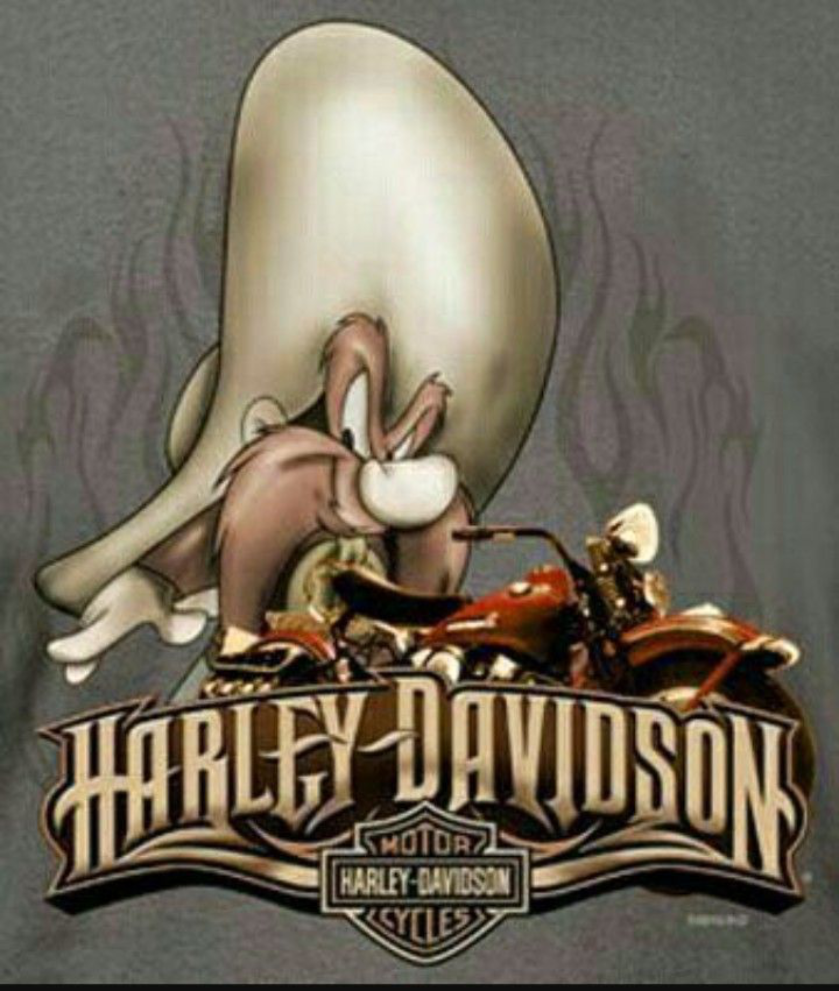 HARLEY VINYL 34