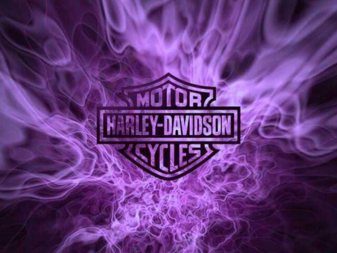 HARLEY VINYL 36