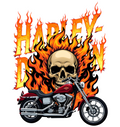 HARLEY VINYL 3