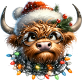 Highland Lights Cow 2