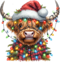 Highland Lights Cow 4