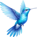 Hummingbird 4