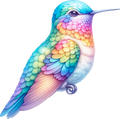 Hummingbird 6