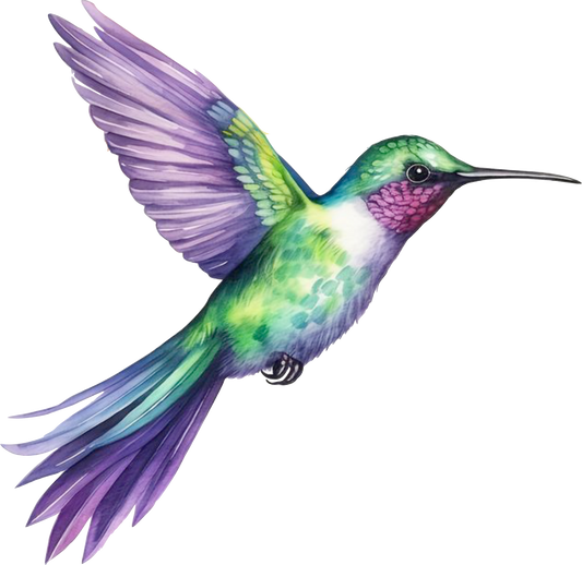 Hummingbird 7