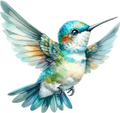 Hummingbird 8