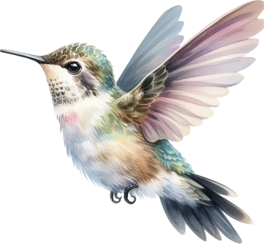 Hummingbird 9