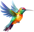 Hummingbird Bright
