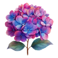 Hydrangea Decal 12
