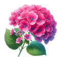 Hydrangea Decal 8
