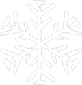 Collection L-White Snowflake