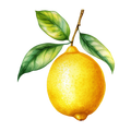 Lemon Decal 1