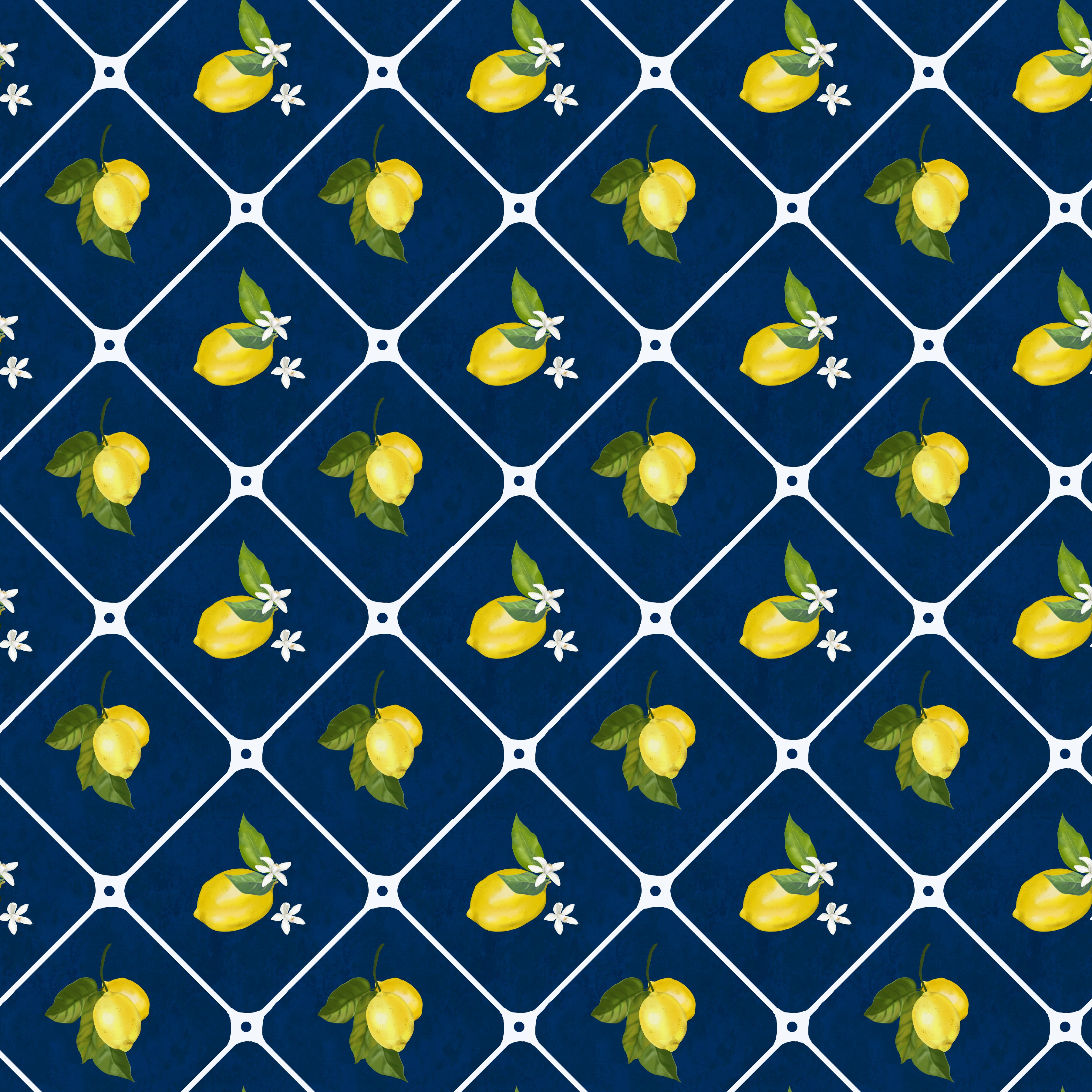Lemon Vinyl 5
