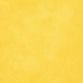 Lemon Vinyl 8