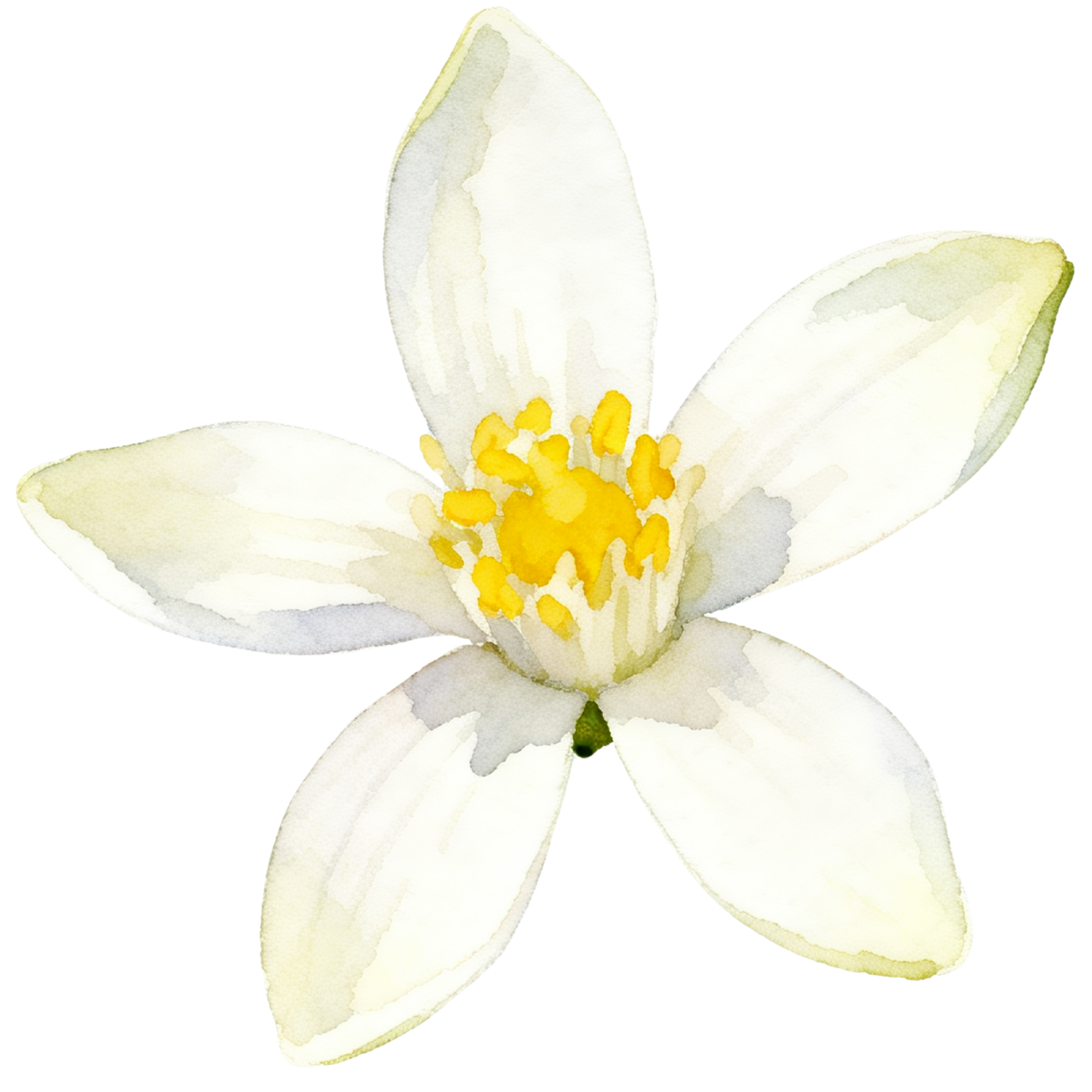 Lemon Decal 14