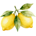 Lemon Decal 2